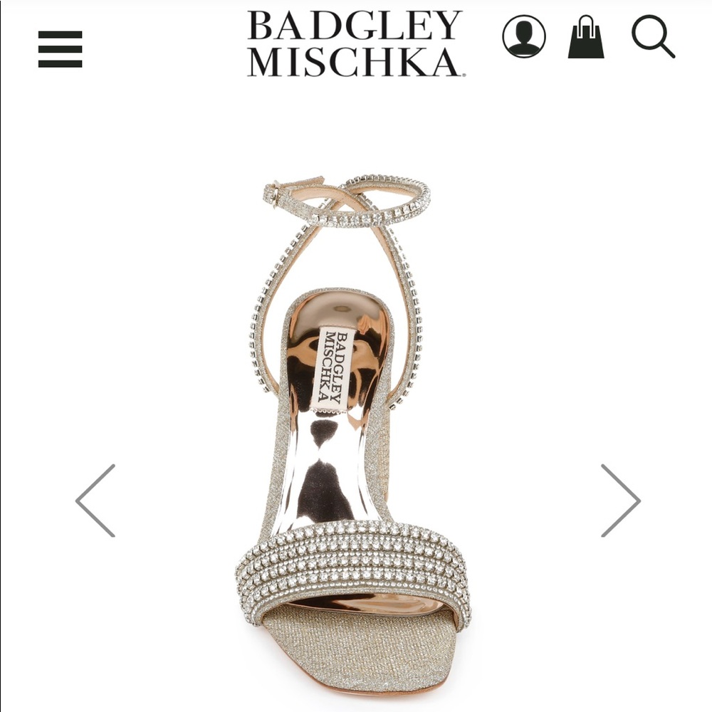 Badgley Mischka Brand
Becca Strappy Block Heel Becca 8 platino worn once